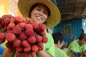 一颗荔枝三把火？降火、不上火要这样吃图片