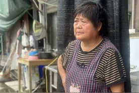 500余条狗狗，未来将何去何从？图片