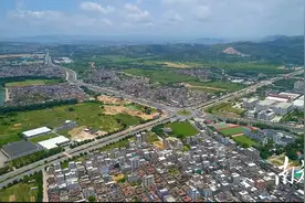 濠江区滨海街道：  “智囊团”为产业发展“撑腰”图片