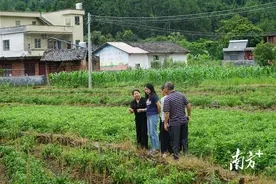阳山黄坌邀请专家送技下乡，全力助推乡村振兴图片