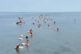 每日一词|全国生态日 National Ecology Day图片