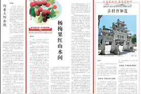 湘江周刊·湘韵丨杨梅果红山水间图片