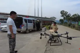 安化林业部门利用无人机防治松褐天牛图片