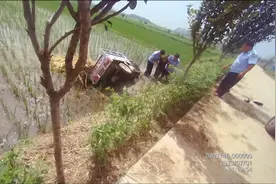 郯城：老人骑车翻进稻田 “泥腿民警”奋勇救援图片