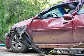 中国男子来新旅游第一天身亡，妻儿带他“回家”图片