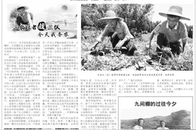 三农记者“战”三伏|骄阳似火下，田间拔草忙图片