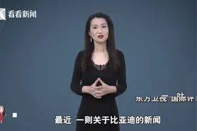 比亚迪杠印度在理吗？印度真是跨国公司"坟场"？图片