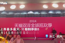 10月14日晚8点天猫双11开启，政府补贴首次叠加优惠图片
