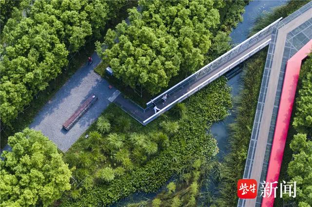 北大教授巴西坠机而亡，爱旅行的你绕不开他的设计