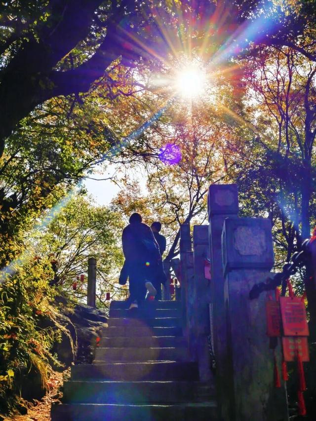 冉冉秋光色，今日又重阳！快用一场登高赏景晒一晒潮湿的心情~