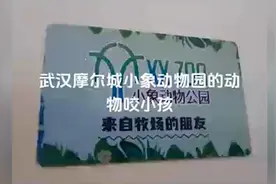 家长称孩子戴手套仍被宠物猫咬出血，商场动物园回应正处理图片