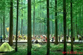 铸牢中华民族共同体意识的“靖州实践”（二） 共建共享生态宜居美丽家园图片