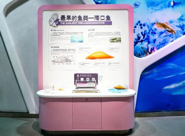 观众留言板｜边玩边学嗨翻天！这些展教活动太有“料”了