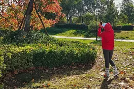 华山湖“湖”拍|穿红衣，拍红叶图片