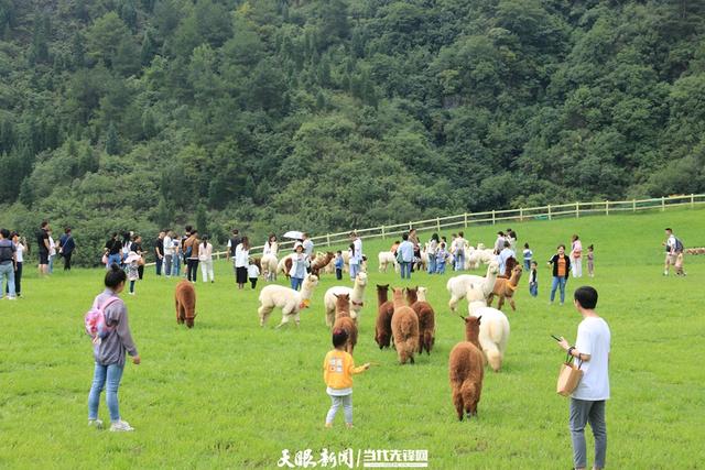 在乡间寻找“诗和远方“——黔西市乡村旅游“热”力十足