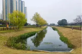 江苏镇江：全“绿”以赴！绘就秀美生态画卷图片