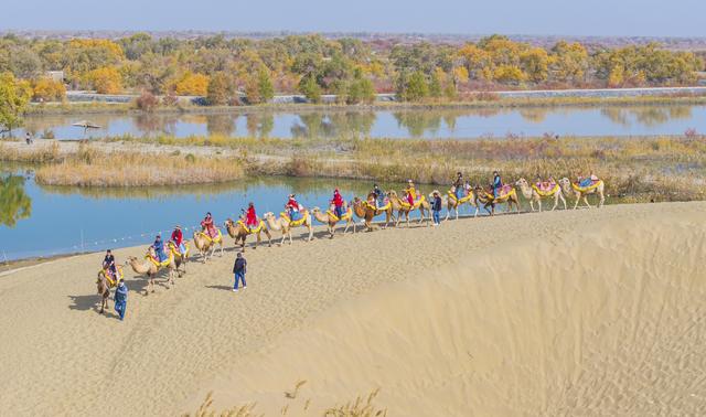 新疆：沙漠胡杨入画来