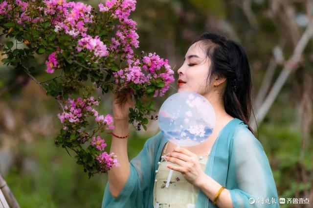 沂蒙花海紫薇园里，各色紫薇花盛开