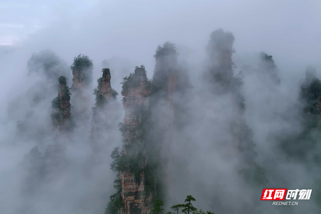 张家界十里画廊雨后云雾缭绕，宛如水墨画卷