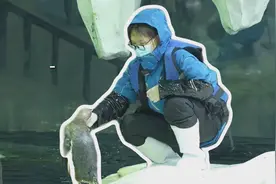 潮声视频丨35岁，我在杭州做“企鹅妈妈”图片