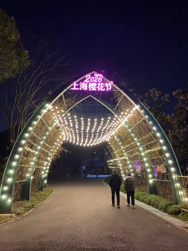 春夜樱花别有风情！上海樱花节首日迎来1万多名游客，首个夜晚人少景美两相宜，首个赏樱指数出炉