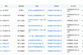 谁还能救陕西通家汽车？图片