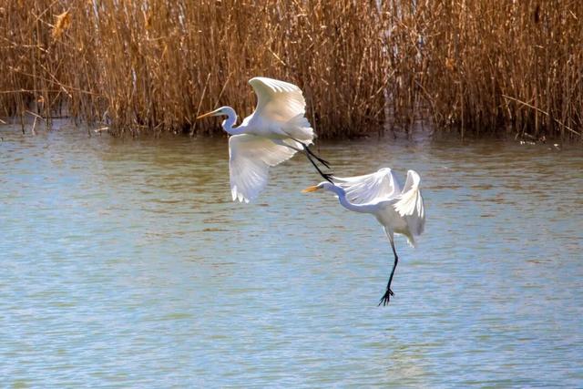 解锁“美拉德”色系！东平的秋天是懂氛围感的