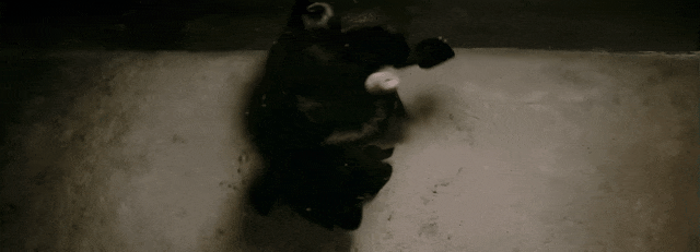 雪天不只有浪漫，走进这些经典电影中的雪景！