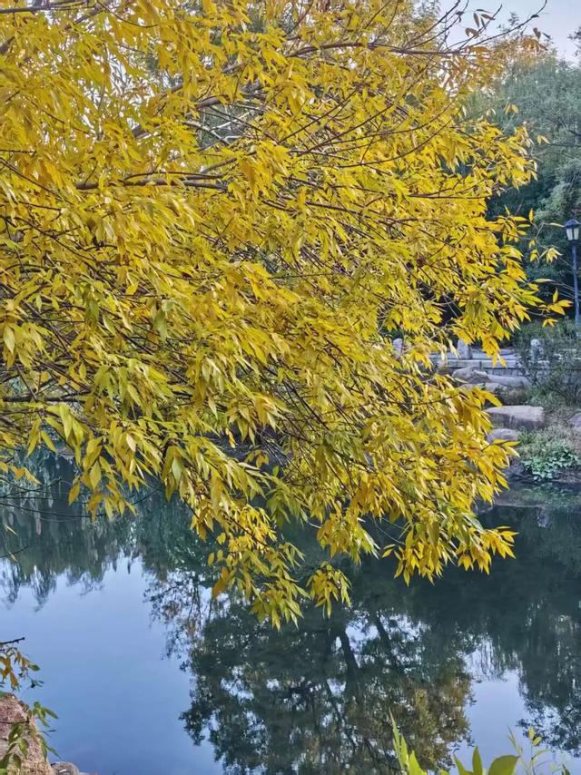 市北“拍了拍”你，抓住秋天的小尾巴