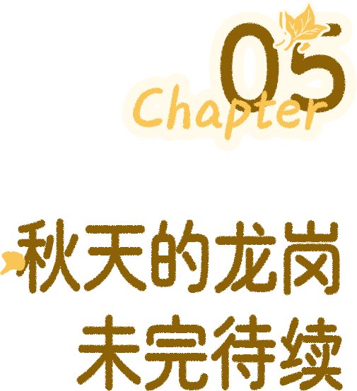 “接下来深圳这个地方，是粉色的”