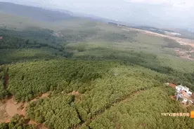 大有来头！近期，昆明这个辖区随时有无人机高空巡查……图片