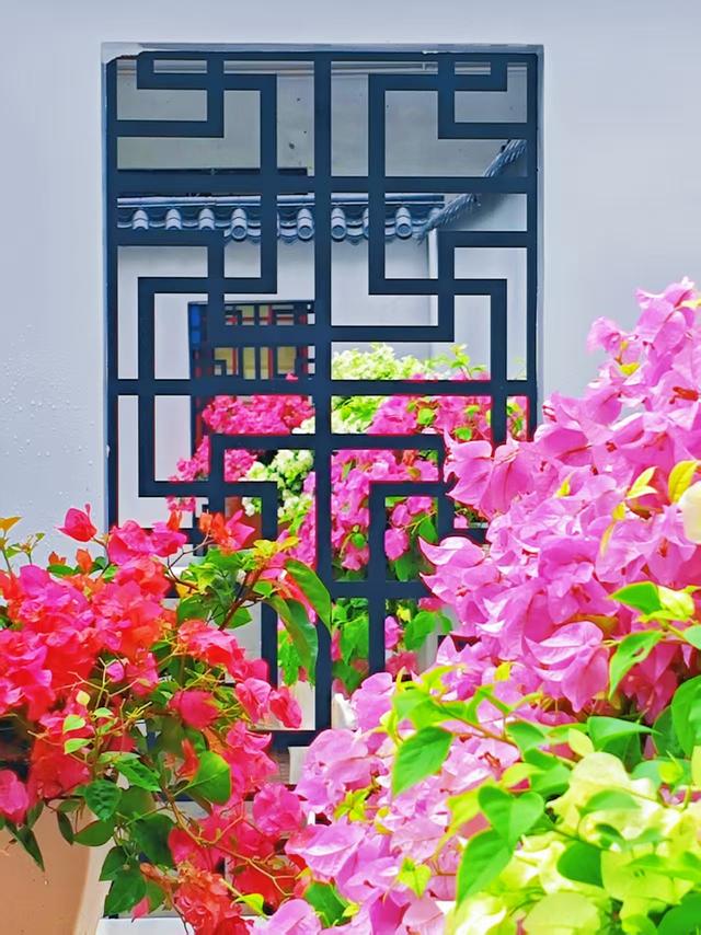 赏特色花展、看多彩园林！这个“十一”在郑开启游园新体验