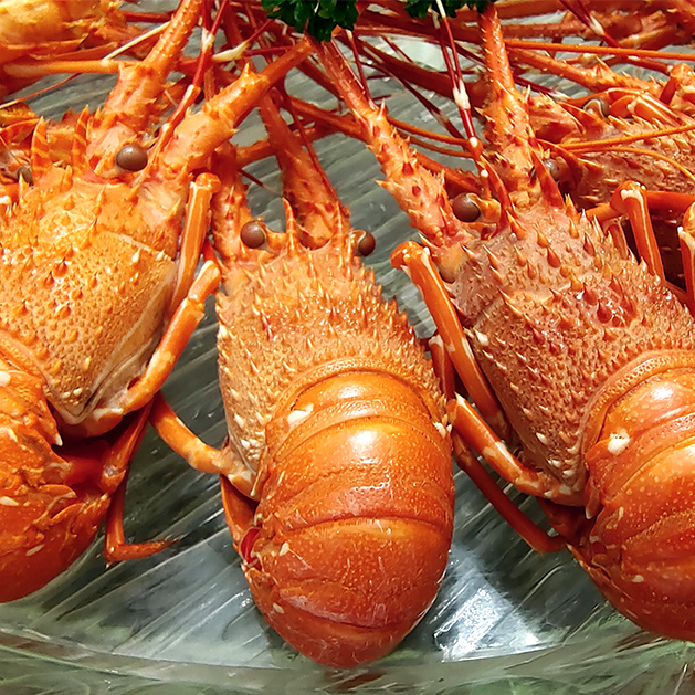 不做选择！湛江东西海岸旅游线路，我全都要！