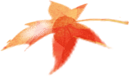 一键收藏！向化镇邀您打卡限定版秋色