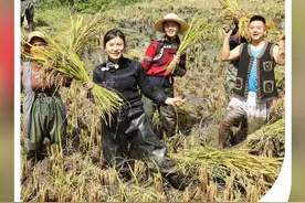 哈尼族媳妇的幸福事儿丨在云南样样好图片