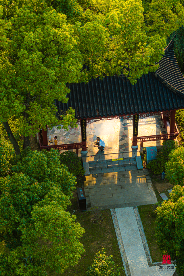 湖北这6座公园，你去过一半算我输！