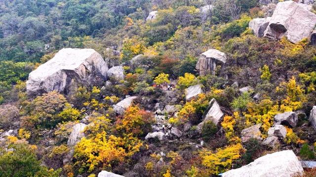 “彩林幻境 裂谷新章”2025年熊耳山第二届彩林文化旅游季活动举行