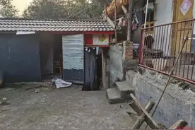 黑熊伤人被反杀！身高1米57的他讲述搏斗经过图片