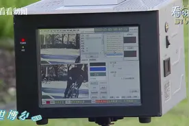 限速！给滨江骑行“做规矩”不可超过15公里图片