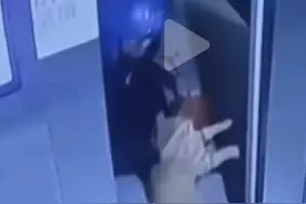 长沙一外卖员将小猫从26楼扔下致死？饿了么客服：平台已启动调查图片