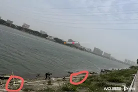 金属钓鱼竿钉在防洪堤岸护坡，东莞市民担心存隐患，官方回应图片