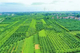 那些年我们追过的头条丨风沙地终成“聚宝盆”图片