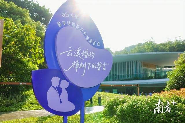 生态康养点亮未来！“88云溪健康乐游节”启幕