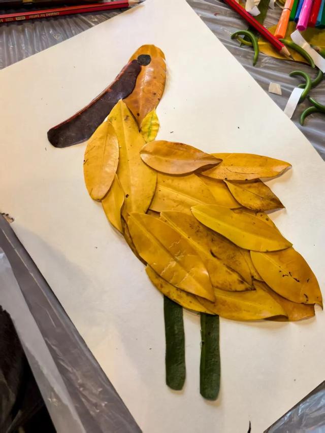 东寨港红树林研学进行时，自然课堂里的欢乐时光～