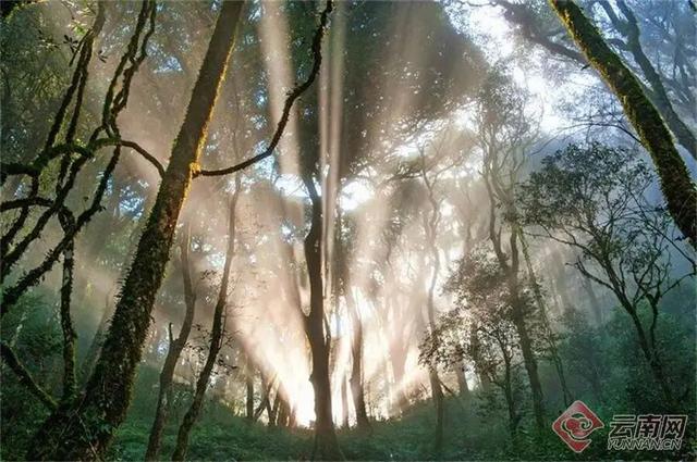 网络中国节·清明丨清明出游不扎堆！云南这些人少景美的宝藏小城别错过