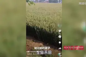 村里又现“新骗术”！种庄稼动用“量子科技”抗病抗灾还增产？央视记者探访→图片