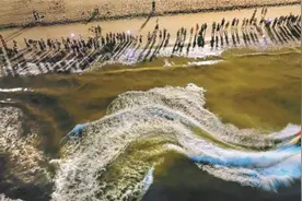 深圳大梅沙惊现“蓝眼泪”荧光海图片