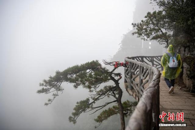 广西大瑶山盘王界景区云雾缭绕如水墨画