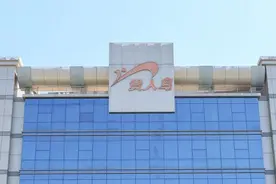 董事闪电辞职！股价连日低于1元，实控人被查，贵人鸟怎么了图片