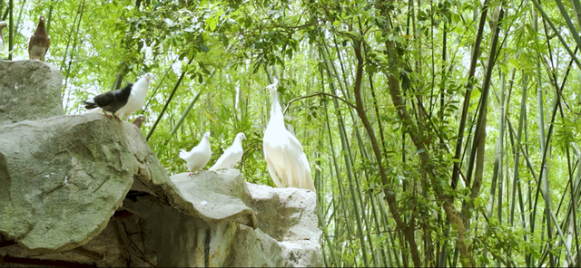 这么近，那么美，闲暇来趟防城港